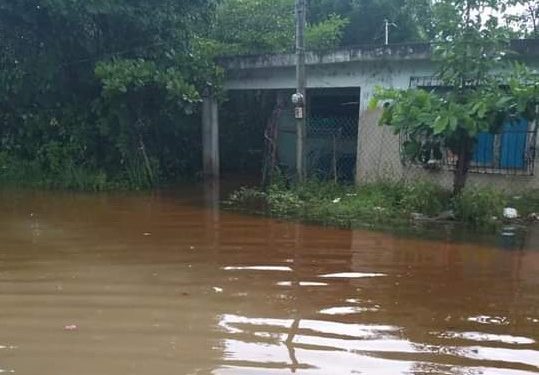 Celestún padece también inundaciones: sus habitantes piden ayuda ya que el agua no baja desde hace días por copiosas lluvias de Gamma y Delta