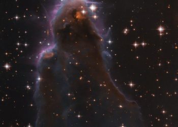 Lluvia de estrellas Oriónidas, a partir de hoy, y hasta el 25: es una de las cuatro lluvias de meteoritos más importantes del año