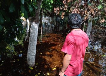 En la comisaría de Konchém el agua estancada aún cubre grandes extensiones del monte y de patios de casas de dicha población yucateca maya