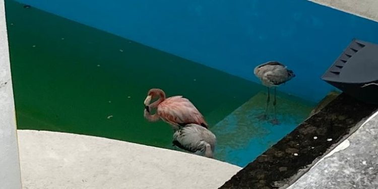 Las bandas nubosas de Delta cubren la Península de Yucatán y durante la madrugada el centro del huracán entrará a tierra