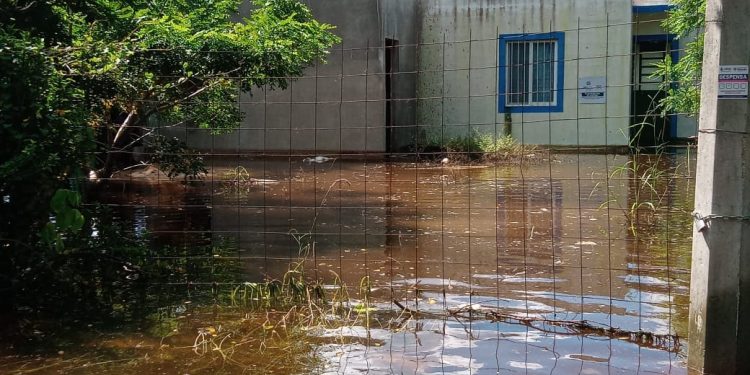 Familias de las comisarías de Noc Ac y Cheumán aún padecen las inundaciones que provocó el huracán Delta: patios y casas rebosan agua que cada vez huele peor