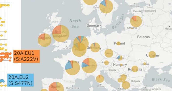 Circula la versión de que una mutación del coronavirus circula en el mundo según estudio de científicos españoles y suizos hecho público en medRxiv