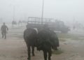 Ejército Mexicano se encuentra aplicando el Plan DN-III-E en Yucatán ante el embate del huracán “Delta” en el oriente del Estado