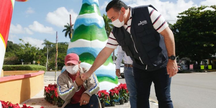 El Ayuntamiento embellece glorietas y parques de Mérida con decoración navideña / El alcalde supervisa la instalación de los objetos ornamentales