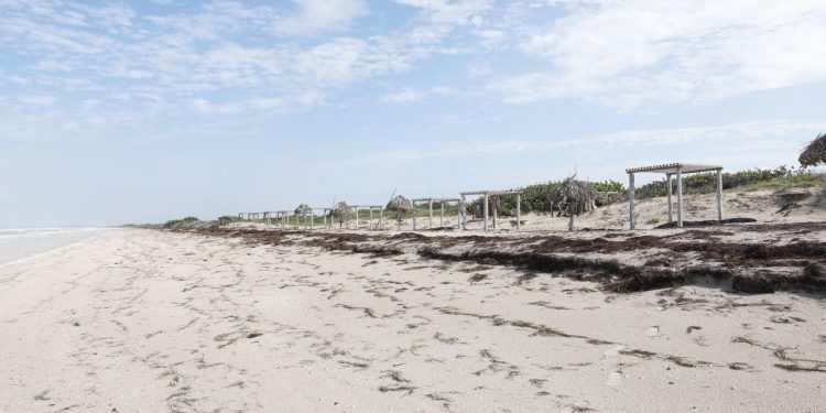 Yucatán recibe siete Certificados “Playa Platino”: El Cuyo en Tizimín, Sisal en Hunucmá, Las Coloradas “Cancunito” y Rio Lagartos, en el municipio del mismo nombre, San Felipe, Celestún y Telchac Puerto, recibieron estos certificados
