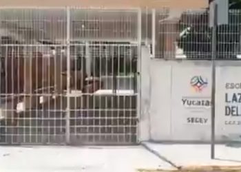 Durante los primeros siete meses dde Covid-19 en México, la delincuencia saqueó poco más de dos mil 300 escuelas del país: 7% en la Península de Yucatán
