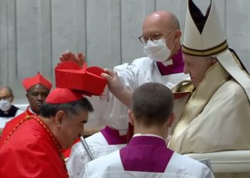 El Papa creó 13 nuevos cardenales, 9 de ellos tienen edad para elegir al próximo Pontífice en un futuro cónclave y el resto, como es el caso del mexicano monseñor Felipe Arizmendi, no podrán votar ni ser votados