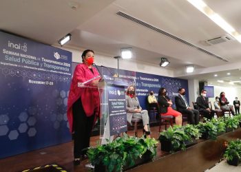 La diputada Sauri Riancho plantea convenio de colaboración con el INE en torno a la reelección de las y los diputados