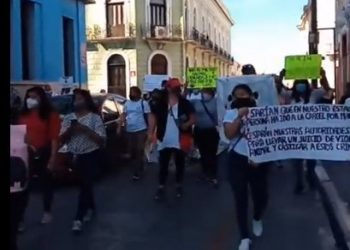 La marcha contra el maltrato animal y a favor de los derechos de los animales en Mérida inició en el parque de Santiago y concluyó en la Playa Grande: exigieron justicia y alto a la impunidad