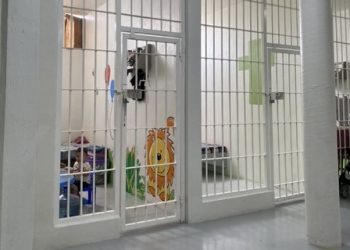 México es primer lugar en pederastia y 99% de los casos quedan impunes, dice Reinserta / Piden crear el “Registro Nacional de Personas Agresoras Sexuales de Niñas, Niños y Adolescentes”