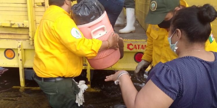 Semarnat participa en el rescate de familias afectadas por las inundaciones en Tabasco ocasionadas por los frentes fríos 9 y 11, así como por las bandas nubosas de la tormenta tropical ETA