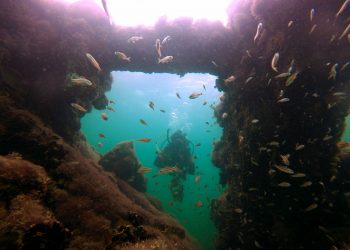 Abrirán al público vestigios del barco que traficaba esclavos mayas ubicado en Sisal / Los restos de la nave fueron hallados a dos millas náuticas o 3.7 kilómetros del puerto