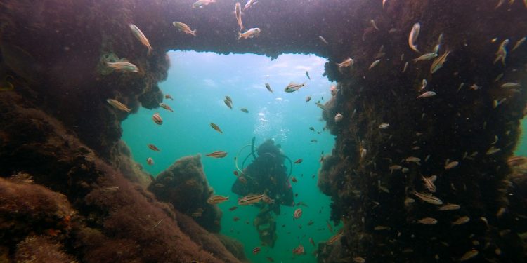 Abrirán al público vestigios del barco que traficaba esclavos mayas ubicado en Sisal / Los restos de la nave fueron hallados a dos millas náuticas o 3.7 kilómetros del puerto