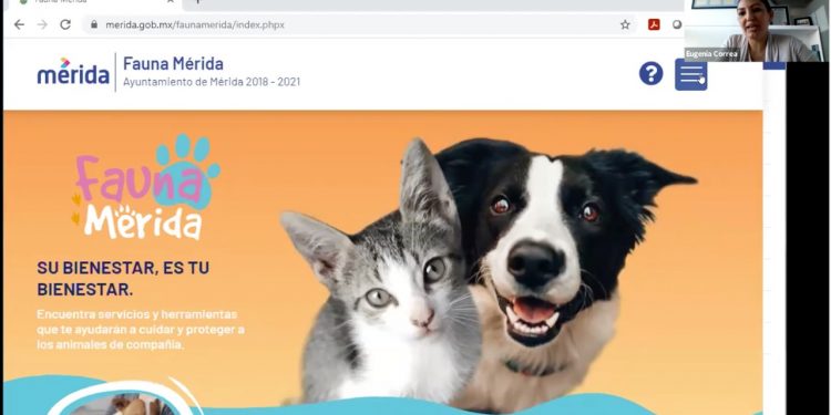 La Unidad de Desarrollo Sustentable presentó esta mañana la página web “Fauna Mérida” www.merida.gob.mx/faunamerida