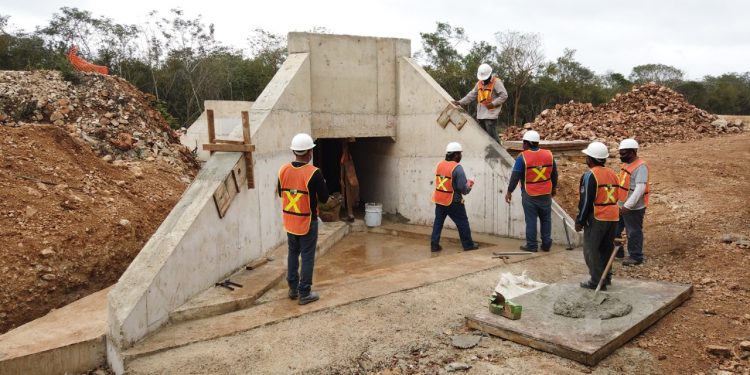 “Tren Maya comprometido a preservar la fauna con pasos de tránsito de especies”  / El monitoreo con 500 cámaras trampas por  90 días desde  Tenabo a Tulum permitió conocer el tránsito de diversas especies de animales