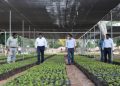 Supervisa el gobernador Mauricio Vila Dosal producción de plantas para el programa “Sembrando Vida” en el recinto ferial de X’matkuil