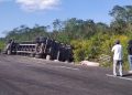 Un camión cargado de cerdos en la carretera federal Mérida-Cancún, de oriente a poniente, cargado con más de 100 animales volcó a la altura del kilómetro 33.