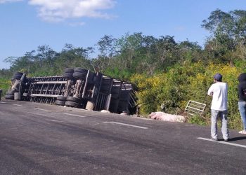 Un camión cargado de cerdos en la carretera federal Mérida-Cancún, de oriente a poniente, cargado con más de 100 animales volcó a la altura del kilómetro 33.
