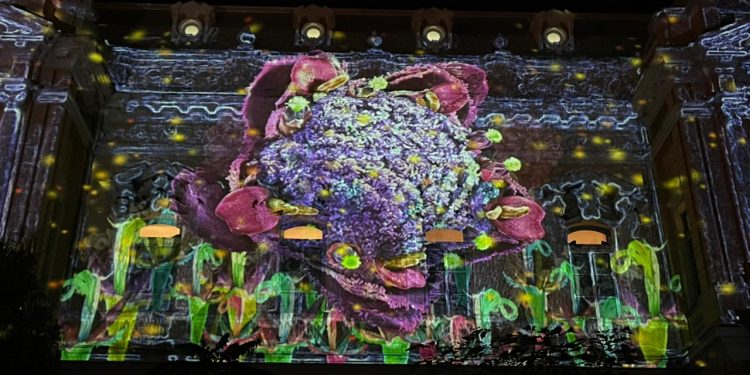 Nuevo videomapping se suma a la oferta cultural en el Mérida Fest 2021 “El jardín secreto”, para crear conciencia sobre la naturaleza