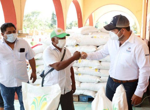 Gobierno del Estado continúa entregando sacos de azúcar para apoyar a personas que se dedican a la apicultura / Titular de la Seder acudió al municipio de Tixcacapul