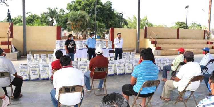 Inicia entrega de 2,400 paquetes de semillas de frijol a pequeños productores del Estado de Yucatán en Opichén, Sotuta, Cantamayec, Tahdziú, Chacsinkín y Tixméhuac
