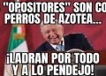 El Meme del Día … Los opositores son como perros de azotea …