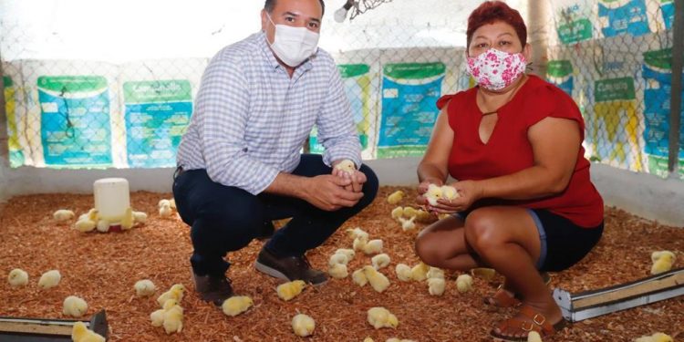 El alcalde Renán Barrera visitó la comisaría de Dzununcán para supervisar acciones del programa “Manos al Campo”, proyecto que apoya a las y los ciudadanos productores de Mérida y sus comisarías