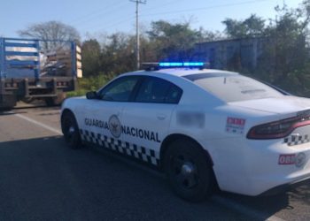 Durante acciones de seguridad y vigilancia en carreteras del estado de Yucatán, integrantes de la Guardia Nacional aseguraron alrededor de 380 kilos de aparente marihuana