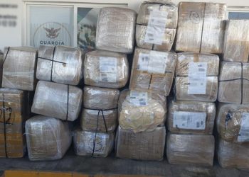 Asegura Guardia Nacional 600 pares de tenis de diversas marcas, más de 280 bolsas de mano para dama y casi 800 cajas con agujas para realizar tatuajes, así como 90 cajas con equipo para tatuar en Yucatán