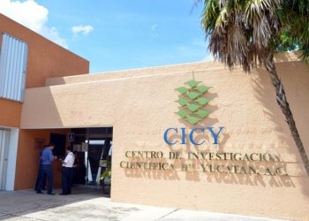 Actualmente, en la Península de Yucatán laboran más de mil 100 especialistas incorporados al Sistema Nacional de Investigadores (SNI)