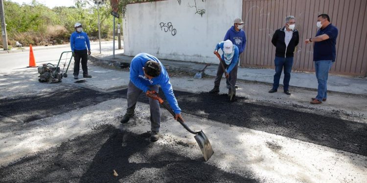 El alcalde Renán Barrera reforzó el trabajo municipal y supervisó acciones de bacheo en el fraccionamiento Nueva Salvador Alvarado Sur / Hoy anuncia su candidatura