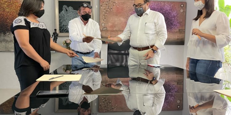 Jorge Carlos Ramírez Marín propone hacer jardines en la ciudad de Mérida para salvar colibríes y abejas de la extinción a través de la plantación de especies nativas