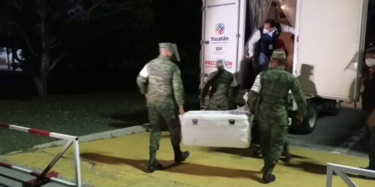 Llegaron a Yucatán 14,680 nuevas vacunas contra coronavirus para los adultos mayores de Ticul, Espita y Kanasín / La dosis son de la farmacéutica Sinovac