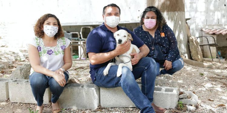 Empleados municipales se capacitan en el manejo adecuado de la fauna doméstica con apoyo de la Humane Society International / México, organización líder para la protección animal