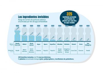 Pescados y mariscos están contaminados en Yucatán con micropartículas de plástico por la contaminación costera, advierte especialista de la Unidad Mérida del Centro de Investigación y de Estudios Avanzados