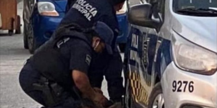 Fiscalía de Quintana Roo informó que abrió una carpeta de investigación tras el homicidio de una mujer que fue detenida, sometida con violencia y muerta a manos de cuatro policías de Tulum