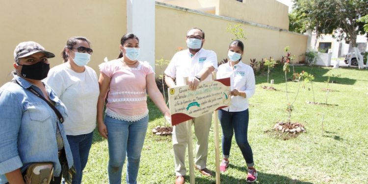 Para conmemorar el inicio de la primavera, hoy se plantó el primer “Jardín urbano de Colibríes y otros Polinizadores”, un proyecto en conjunto con la agrupación Santa María y el senador Jorge Carlos Ramírez Marín