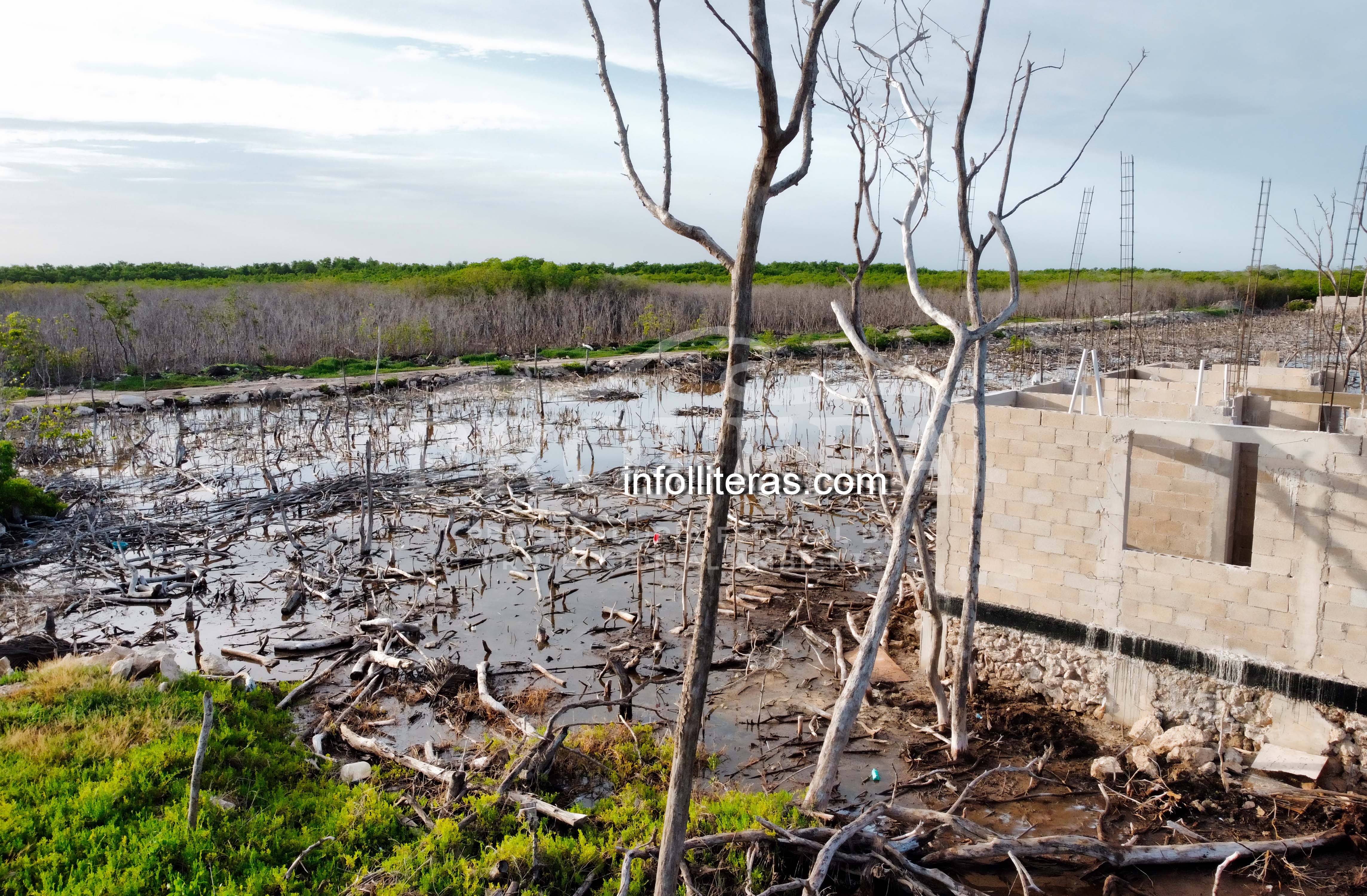 Profepa informó que en Yucatán colocó 10 sellos de clausura en 6 polígonos de la Reserva de la Biosfera Ría Lagartos