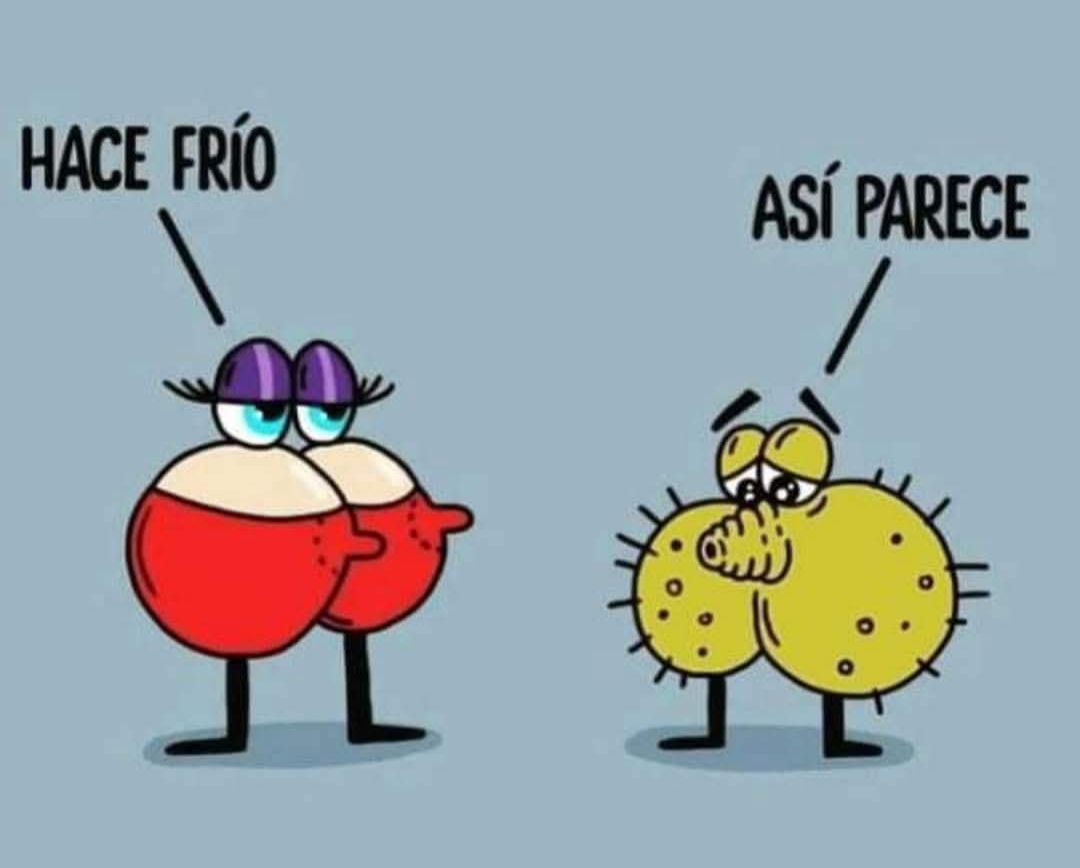 meme3