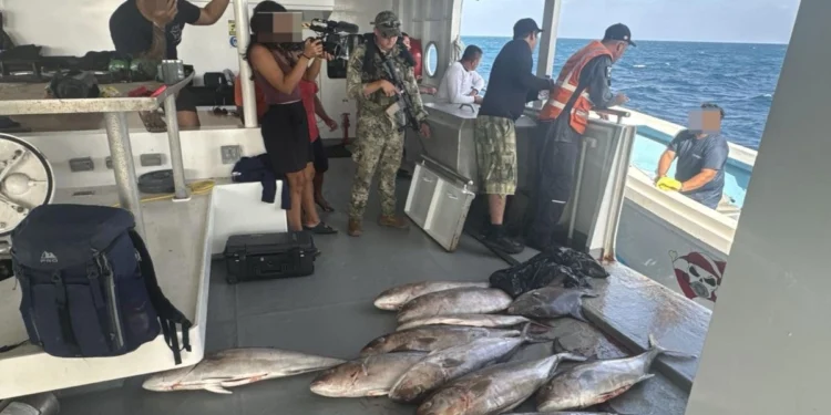 Un yate de servicios turísticos, con permisos vencidos, fue retenido por la Marina en el Arrecife Alacranes, en aguas de Yucatán por la Marina
