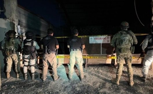 Fueron detenidas en Operación Madre Tierra VII de la Interpol 225 personas / Se han identificado cientos más para su seguimiento / Se denunciaron más de 400 delitos ambientales