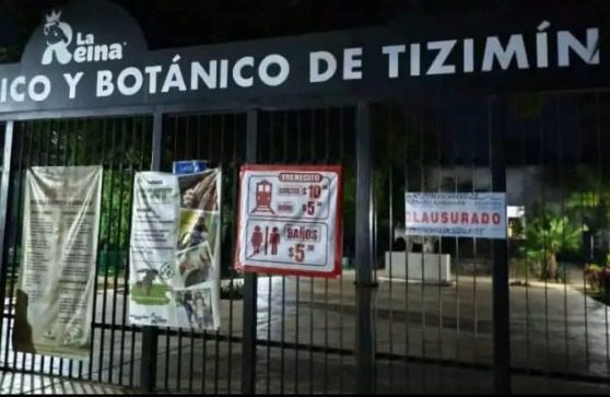 La Profepa concluyó el 15 de octubre de 2025 la inspección realizada en el zoológico la Reyna de Tizimín con una clausura temporal