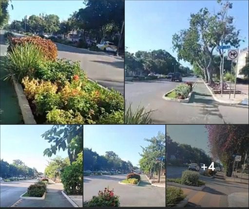 Asociación Civil Cicloturixes “manifiesta su profunda preocupación ante los anuncios realizados por el Secretario de Fomento Turístico de Yucatán, Darío Flota Ocampo” sobre Paseo Montejo y su ciclovía