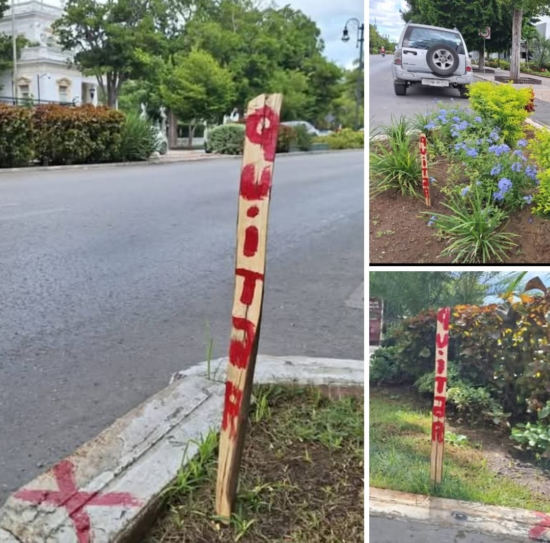 “Intervención en Paseo de Montejo, hasta el momento no ha sido sometida a consulta, lo que la hace ver como una propuesta unilateral”: MC