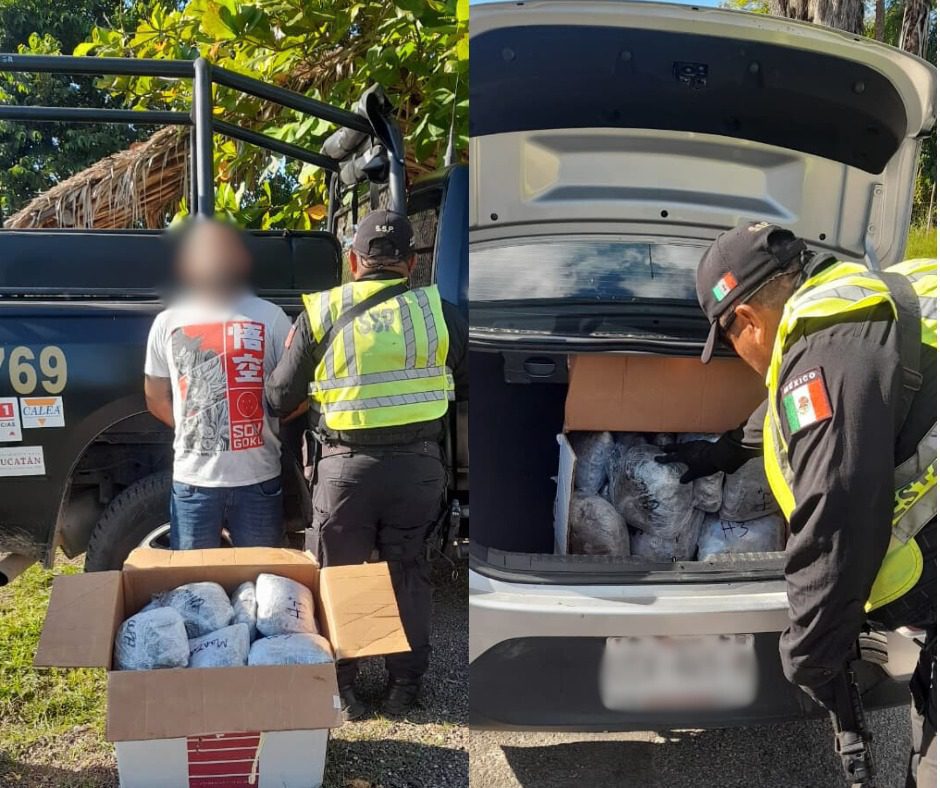 Iban a Tekax: Aseguraron 29 paquetes con características de cannabis durante una revisión preventiva a un vehículo que ingresaba a Yucatán