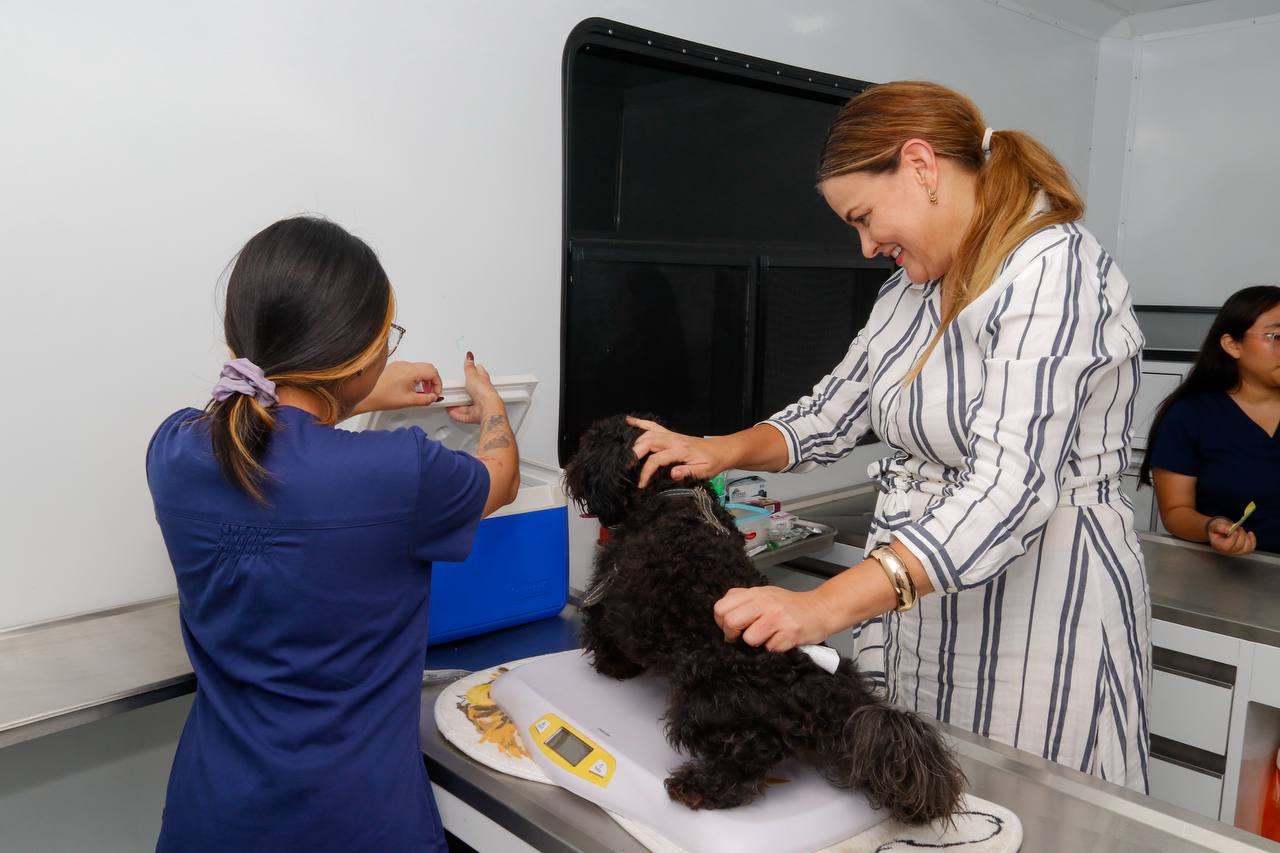 Ayuntamiento de Mérida realizará una campaña de esterilización para perros en situación de calle el 29 y 30 de noviembre, en el fraccionamiento Yucalpetén