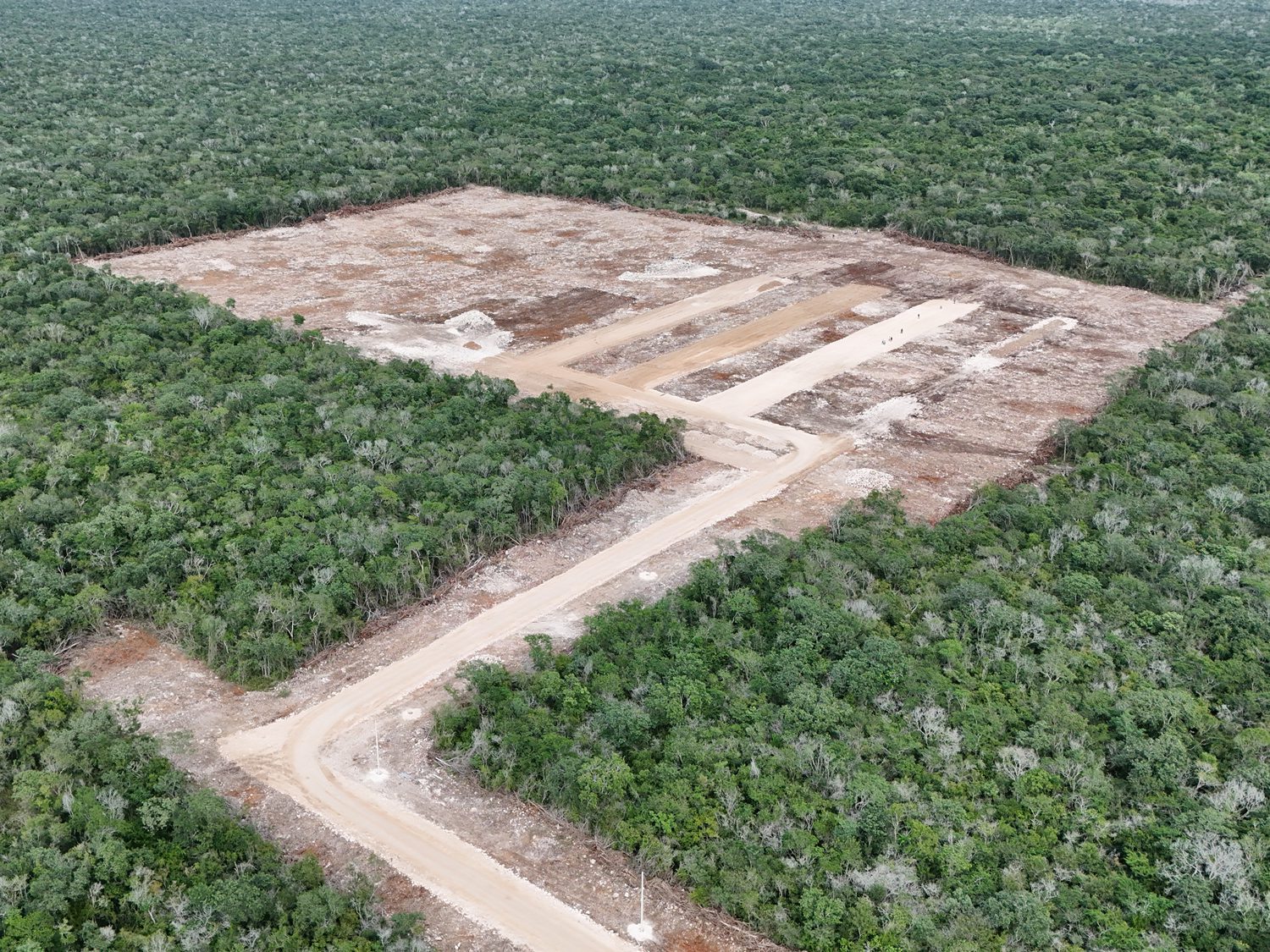 Profepa clausura ampliación de granja avícola de la empresa Crío por cambio ilegal de uso de suelo en Kinchil, Yucatán