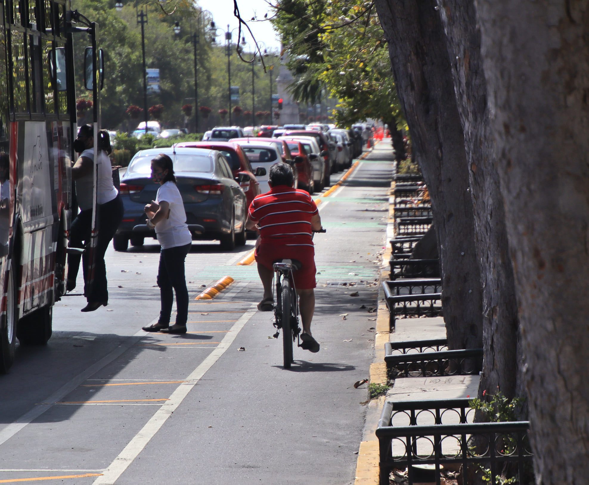 Cochistas exigen toda la ciudad para los carros / Paseo Montejo en peligro de ser cada día menos atractivo para los turistas