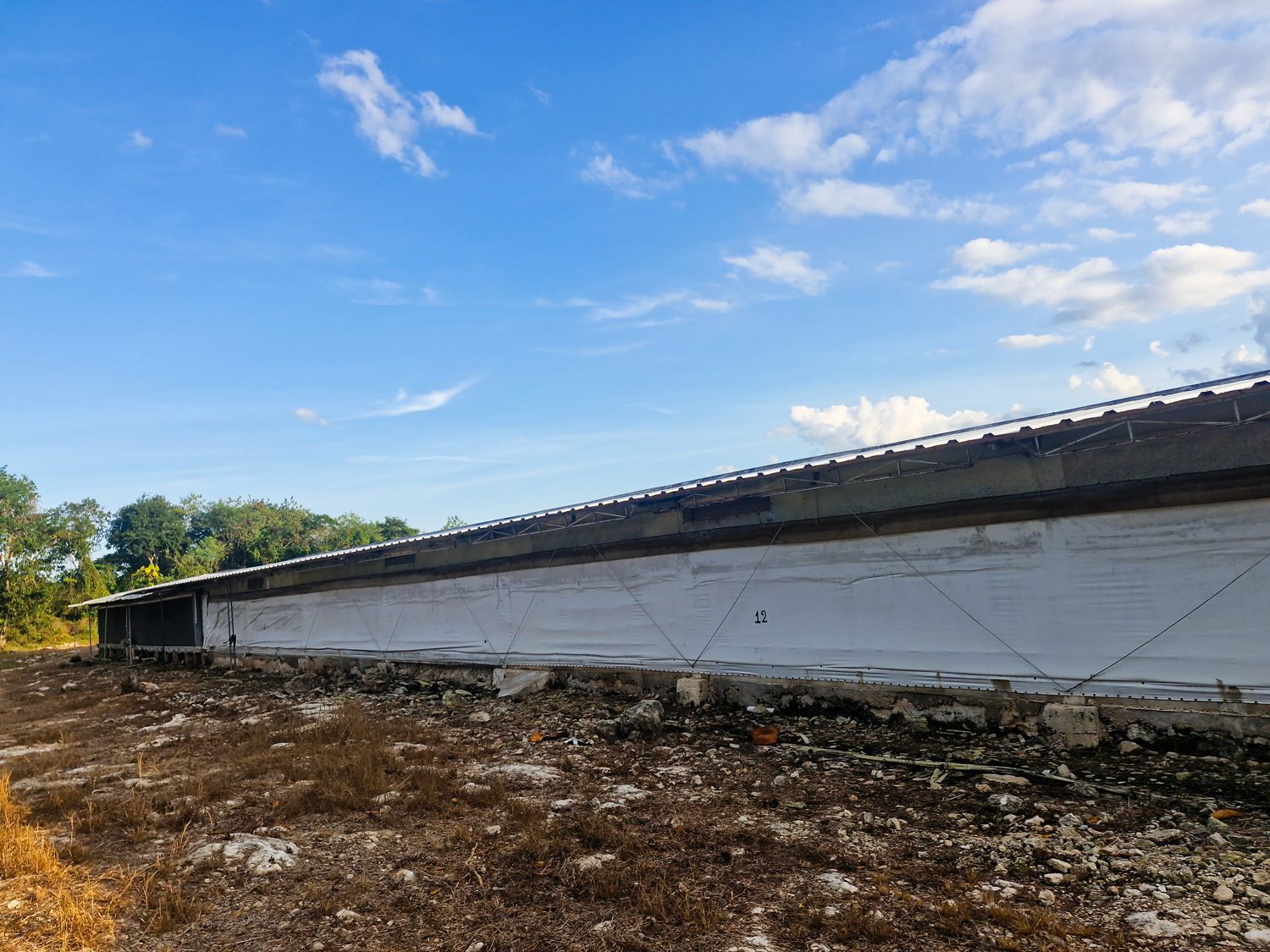 Profepa clausuró actividades de desmonte en ecosistema de selva realizada por Bachoco, en Kanasín, Yucatán / Se encuentra en una zona con rápido crecimiento urbano
