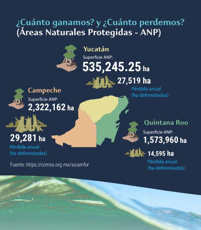 En tan sólo 25 años, la disponibilidad media de agua subterránea de la Península de Yucatán disminuyó en 70 por ciento